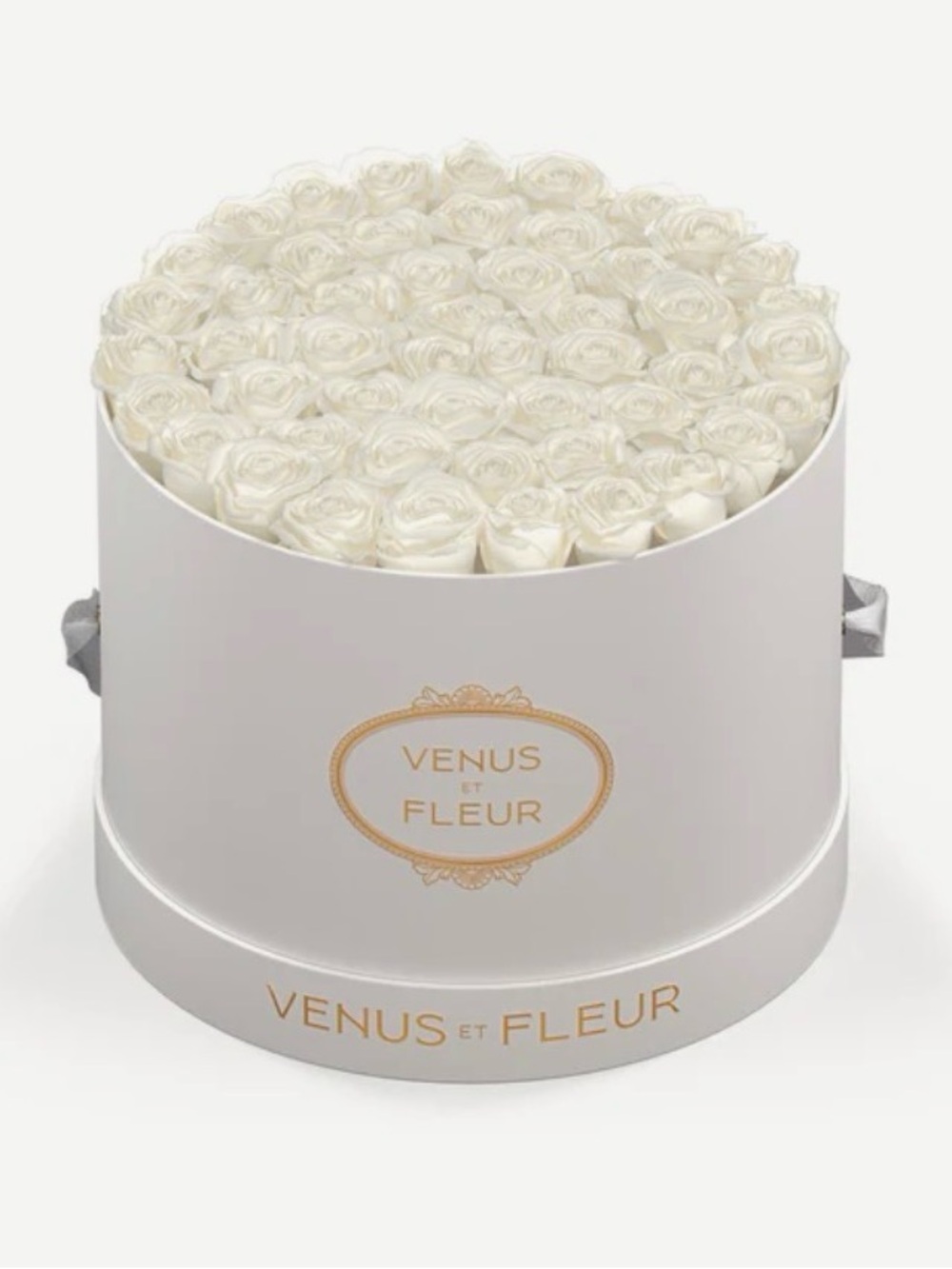 Venus et Fleur Ivory Round White Eternity Rose - Classic Floral